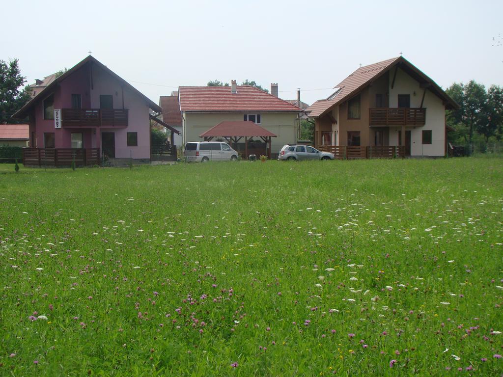 Colt De Rai Hotel Kovászna Kültér fotó